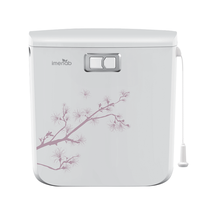 شکوفه گیلاس